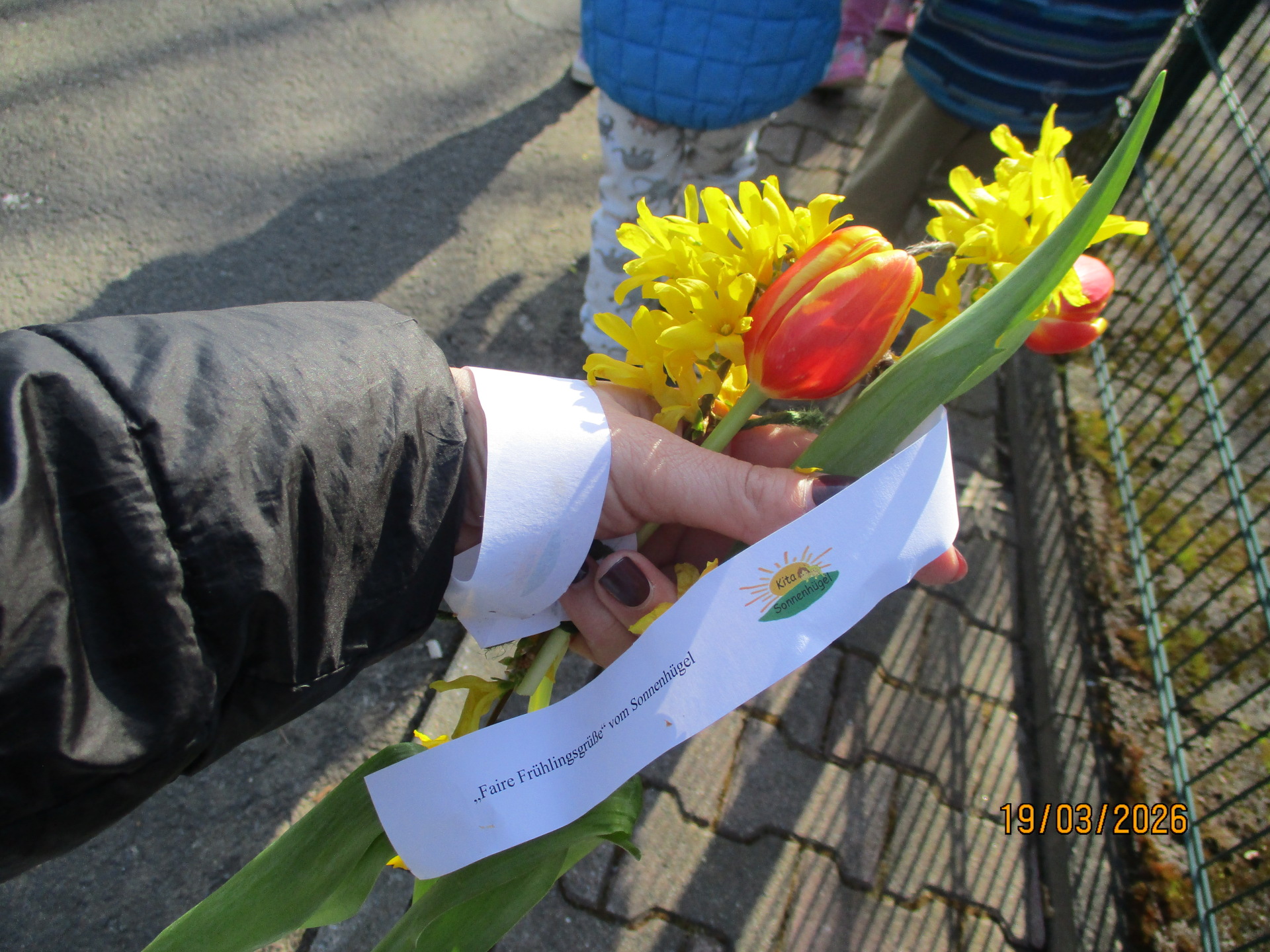 Hand mit einer Fairtrade Tulpe