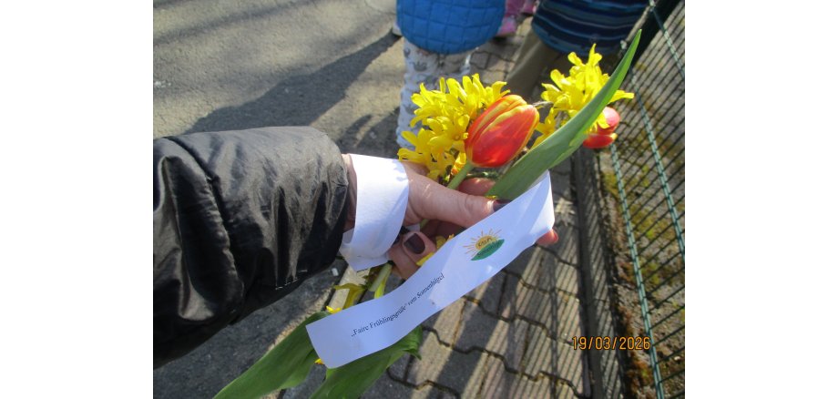 Hand mit einer Fairtrade Tulpe