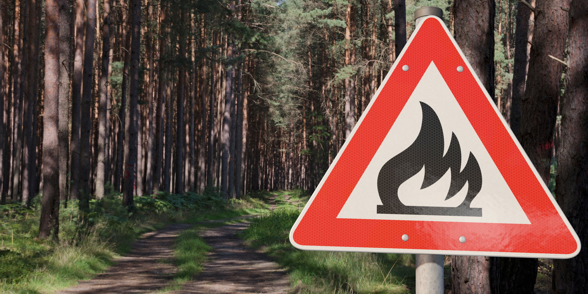 Schild Waldbrandgefahr